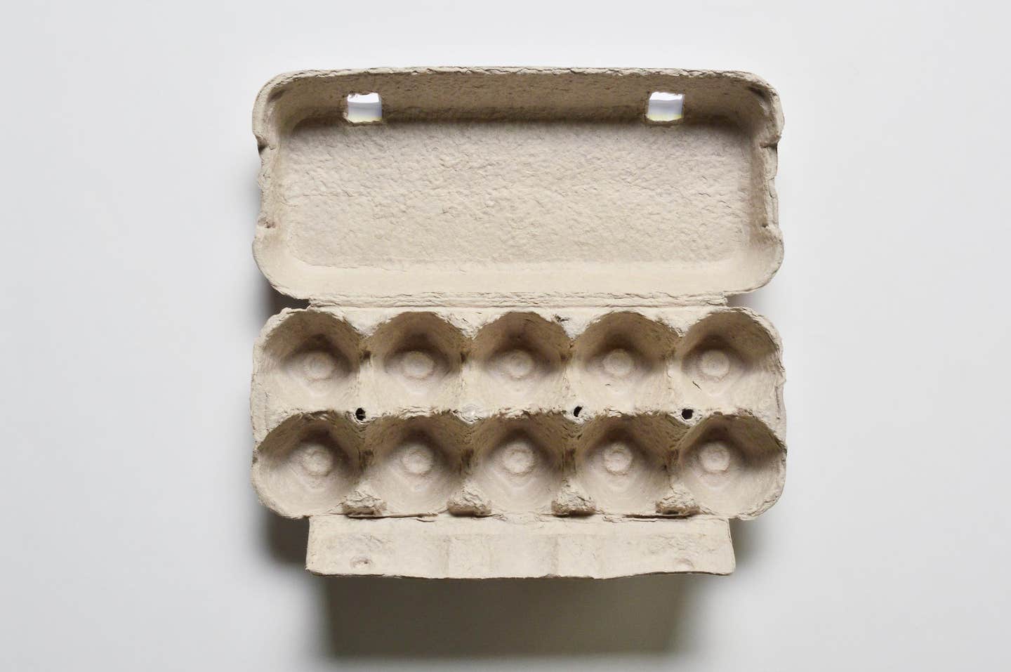 Empty egg carton