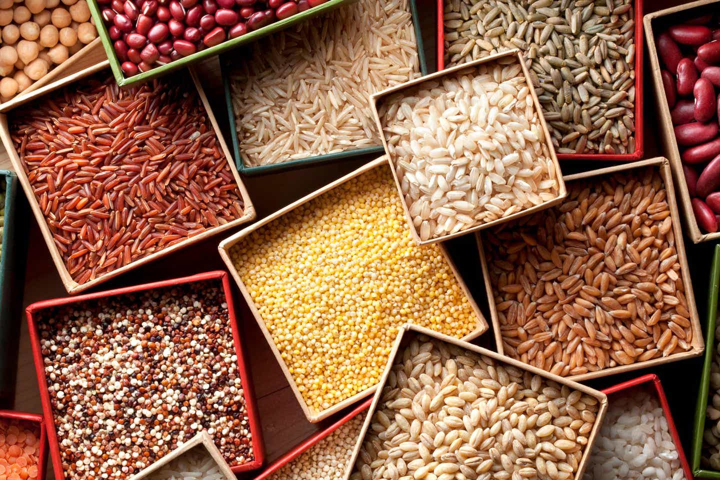 protein-rich-whole-grains An array of vegan sources of protein, including whole grains and lentils